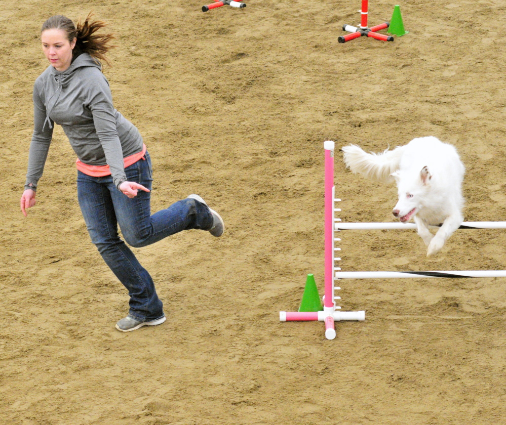 Katie Anderson of Freeport leads her border collie Denali over a hurdle Saturday during a dog agility contest.