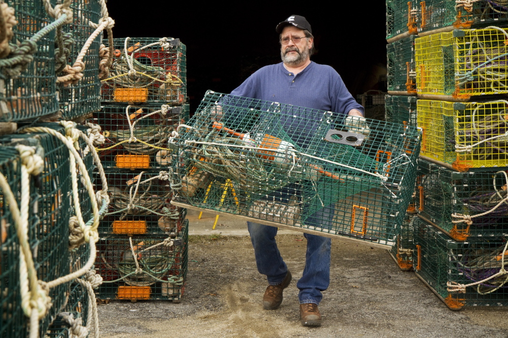 Lobsterman Wayne Parry gets some of his 800 traps ready for the season at his Arundel workshop on Wednesday. “A little less catch should help us a little on price,” said Parry. “It’s hard to tell how a huge reduction in catch would affect us.”