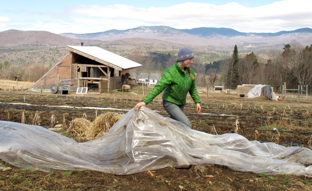 Katie Spring rolls up a plant covering Thursday at the farm in Worcester, Vt., that she and her husband Edge Fuentes own. They both back the GMO labeling bill passed by the Legislature.