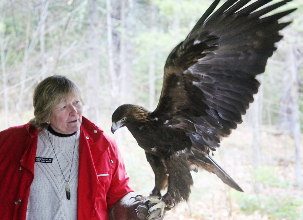 Hope Douglas of Wind Over Wings in Dresden holds Skywalker, a 22-year-old golden eagle, as he salutes a captive crowd during a live birds of prey presentation at Bradbury Mountain State Park in Pownal on Saturday as part of Feathers over Freeport, a weekend birdwatching event.