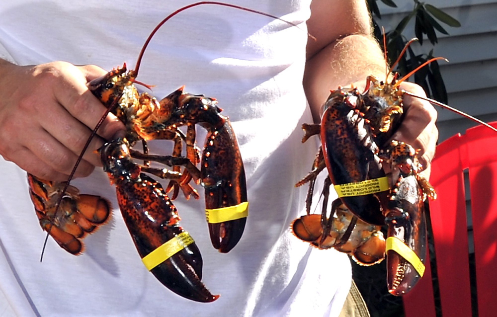Maine landings of lobster rose over a decade to almost 127 million pounds from about 55 million pounds, according to a national report.
