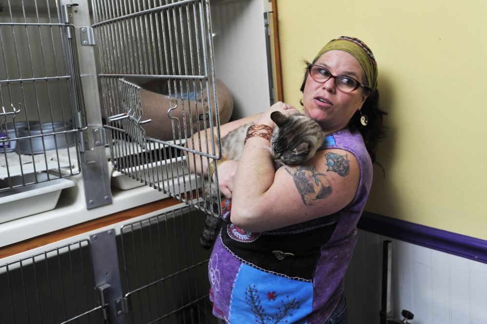 Paulette Tuunanen of Fryeburg tells the horrid details of her attack at her grooming business Wednesday, March 19, 2014.