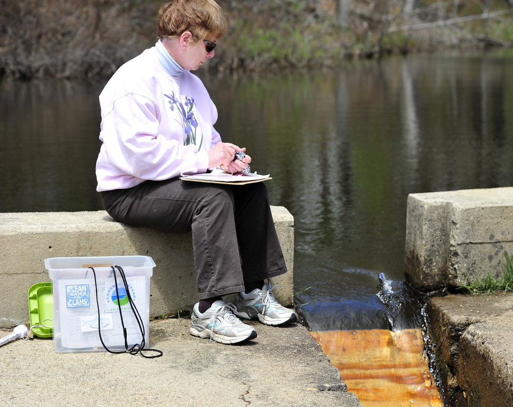 Karen Carlisle, one of many volunteer fish counters documenting the health of Maine’s alewife fishery, works a two-hour shift at the Nequasset fish ladder in Woolwich.