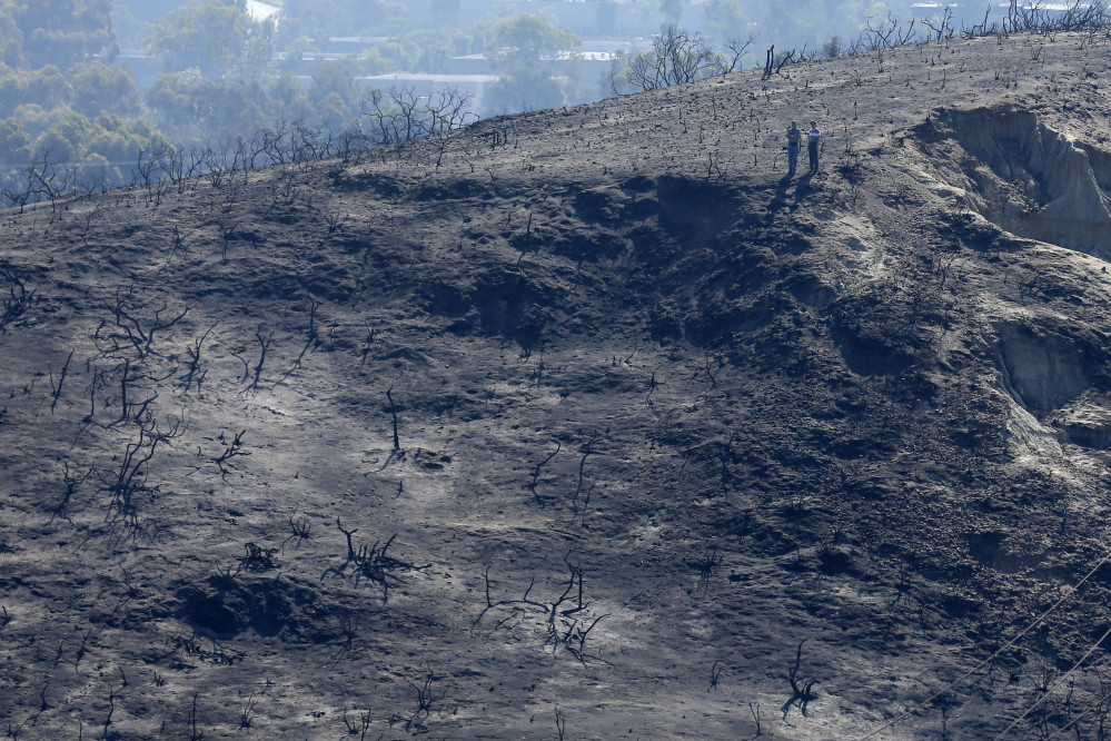People look over a canyon ravaged by wildfire Friday in Carlsbad, Calif.