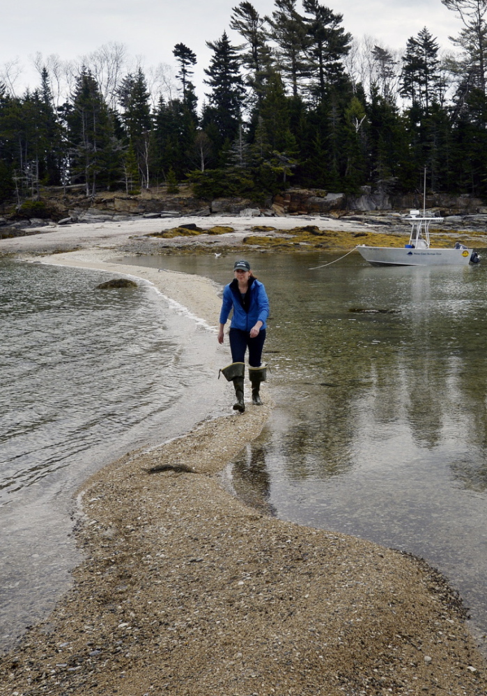 A sandbar between East and West Gosling islands allows Amanda Devine, regional land steward of the Maine Coast Heritage Trust, a crossing at low tide.