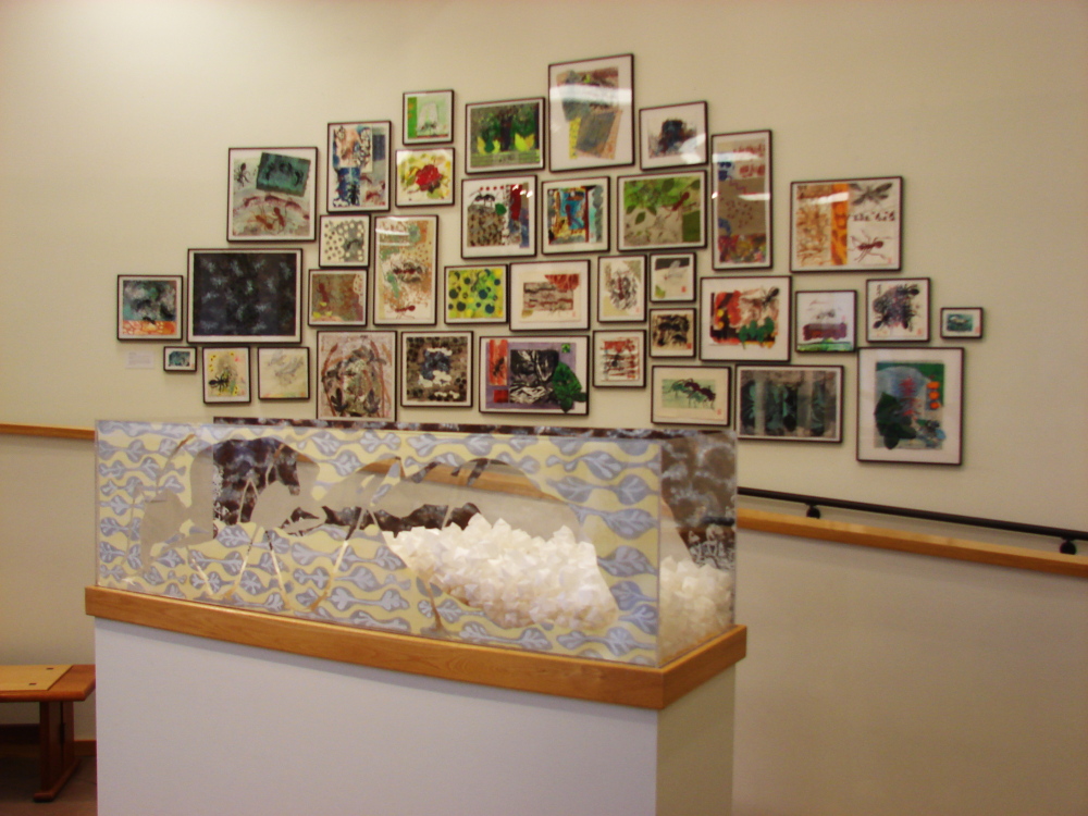 "Ant Farm: At the Nexus of Art and Science" opens at the Atrium Art Gallery at the University of Southern Maine.