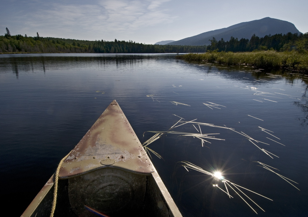 Henry David Thoreau didn’t carry a camera, but Texan Scot Miller did, and his images, such as this one of Little Spencer Pond pictured from a canoe, is on display at the Harvard Museum of Natural History.