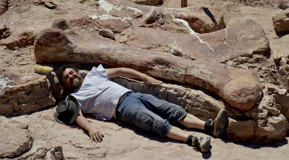 Spanish paleontologist Jose Ignacio Canudo lies alongside a sauropod dinosaur femur, believed to be the largest in the world, in Trelew, Argentina.