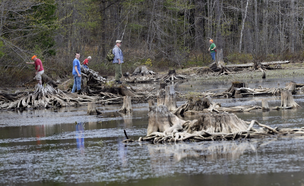 Volunteers search the shoreline of Lake Arrowhead in North Waterboro for Jaden Dremsa on May 12. The teenager, who had been diagnosed with a mild form of autism, was last seen May 8. His body was found Saturday.