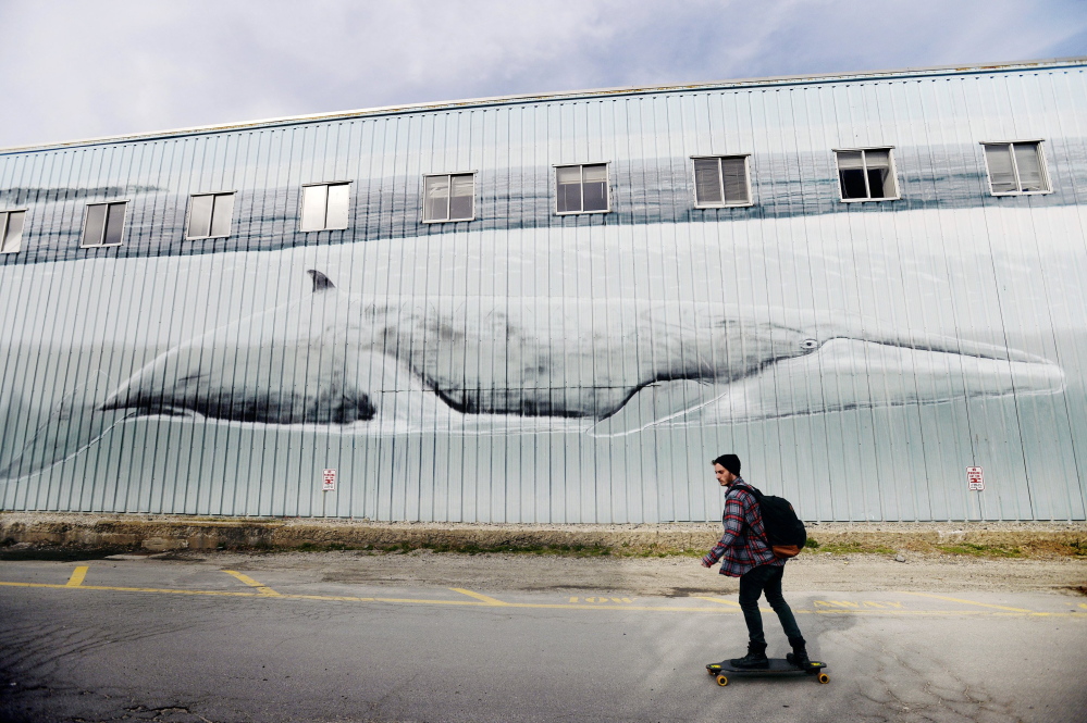 A skateboarder rolls past the Whaling Wall on the Maine State Pier in Portland last month. The Shucks Maine Lobster processing company says its arrival later this year will not alter the mural, which was painted by the artist Wyland in 1993.