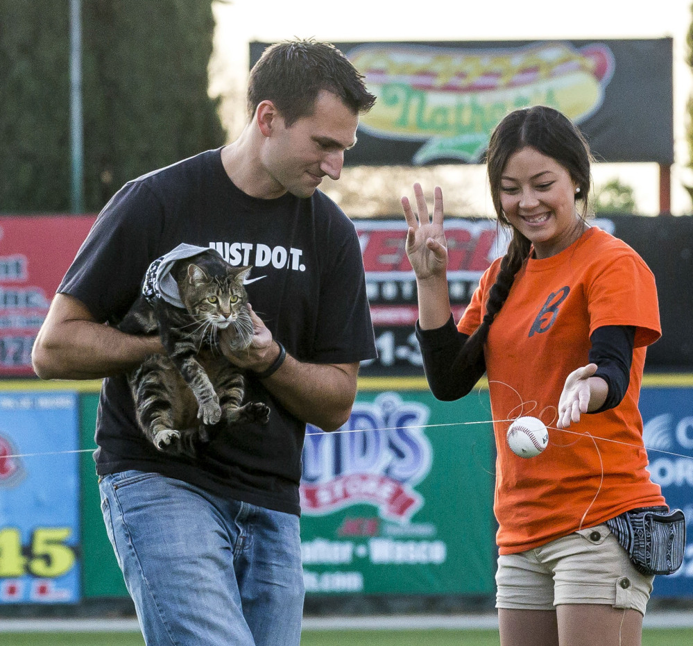 There was a failed attempt to have Tara “throw” the pitch using a baseball attached to a fishing line. Tara might have been nervous, so Ryan Triantafilo helped the cat throw the pitch as he held her in his arms at Sam Lynn Ballpark Tuesday night.