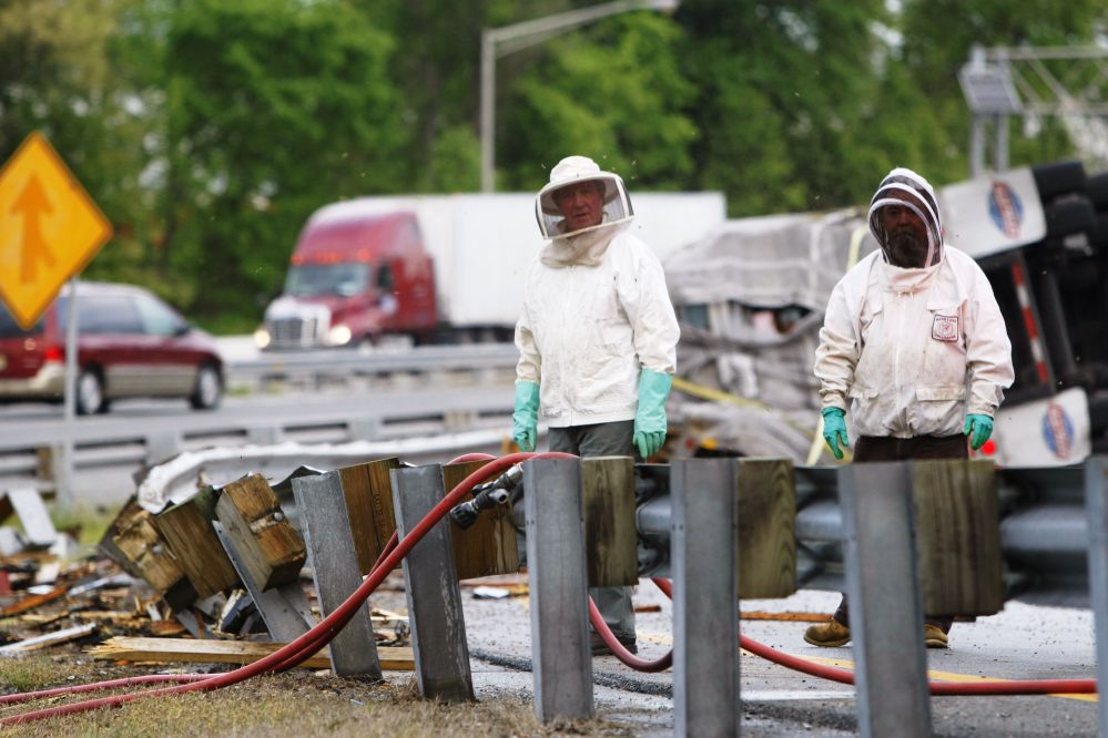Workers wear protective gear after a tractor-trailer overturned, spilling a load of 16 million to 20 million honeybees Tuesday near Newark, Del. The hives were destined to pollinate fields owned by Allen’s Blueberry Freezer Inc. of Ellsworth.