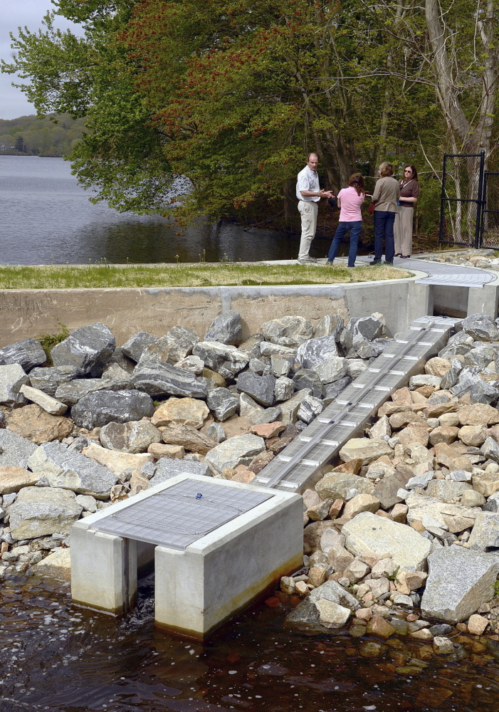 Alewives haven’t returned to Rogers Lake in centuries, but they’ll have incentive now that a new fish ladder has been installed.