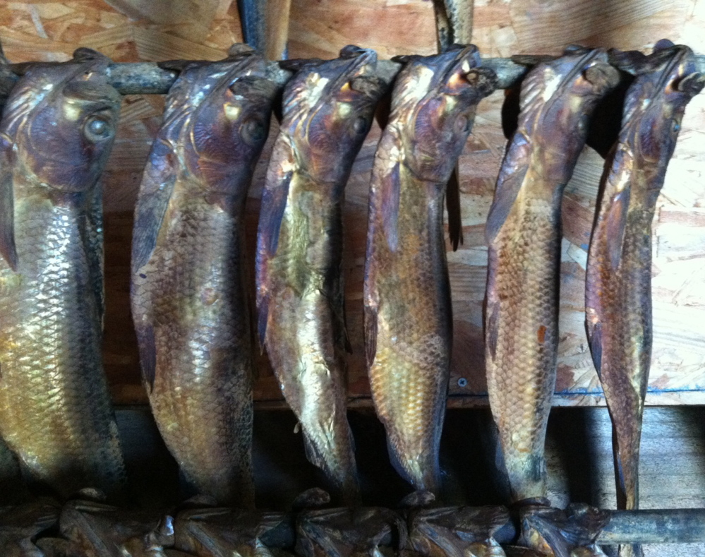 The seasonal abundance of smoked Maine alewives can boost chowders and many other preparations. Peggy Grodinsky photo