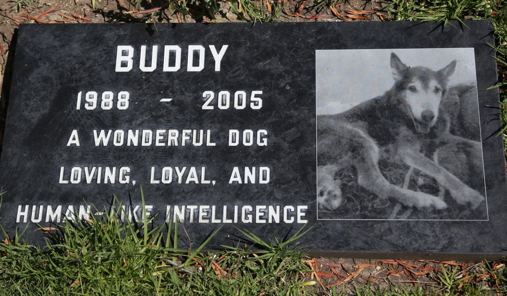 A stone marks the grave of Buddy, a family pet memorialized at the Los Angeles Pet Cemetery in Calabasas, Calif. The Associated Press