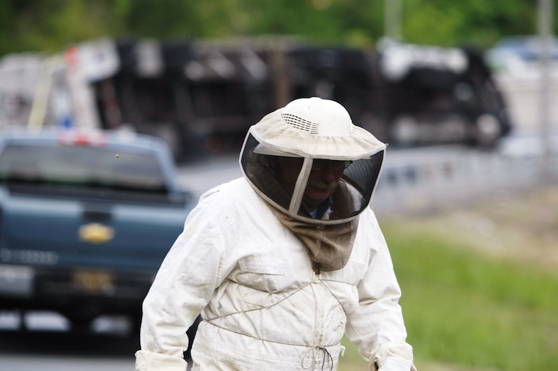 Bees swarm after being released from a tractor-trailer that overturned carrying them near Newark, N.J., Tuesday, May 20, 2014, on the ramp from Route 896 to Interstate 95. Sgt. Paul Shavack said the driver and a passenger were taken to Christiana Hospital with minor injuries. Bees