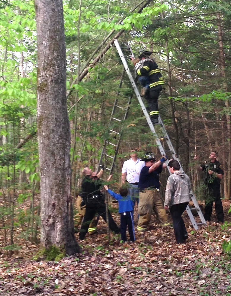 Winslow firefighters use a ladder to get Richard Brewster down from a tree he had climbed Wednesday in a wooded area off China Road.