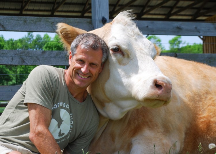 Farm Sanctuary president and co-founder Gene Baur with a cow named Meg who was rescued and now lives in Watkins Glen, New York, at one of three shelters run by the nonprofit. Below, Baur’s book, “Farm Sanctuary: Changing Hearts and Minds About Animals and Food.”