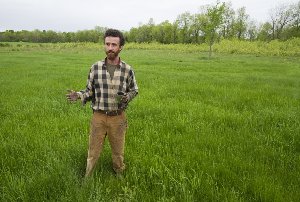 In May, Rooney stands on the site of a future rice paddy while talking about growing the grain in Maine. Carl D. Walsh/Staff  Photographer