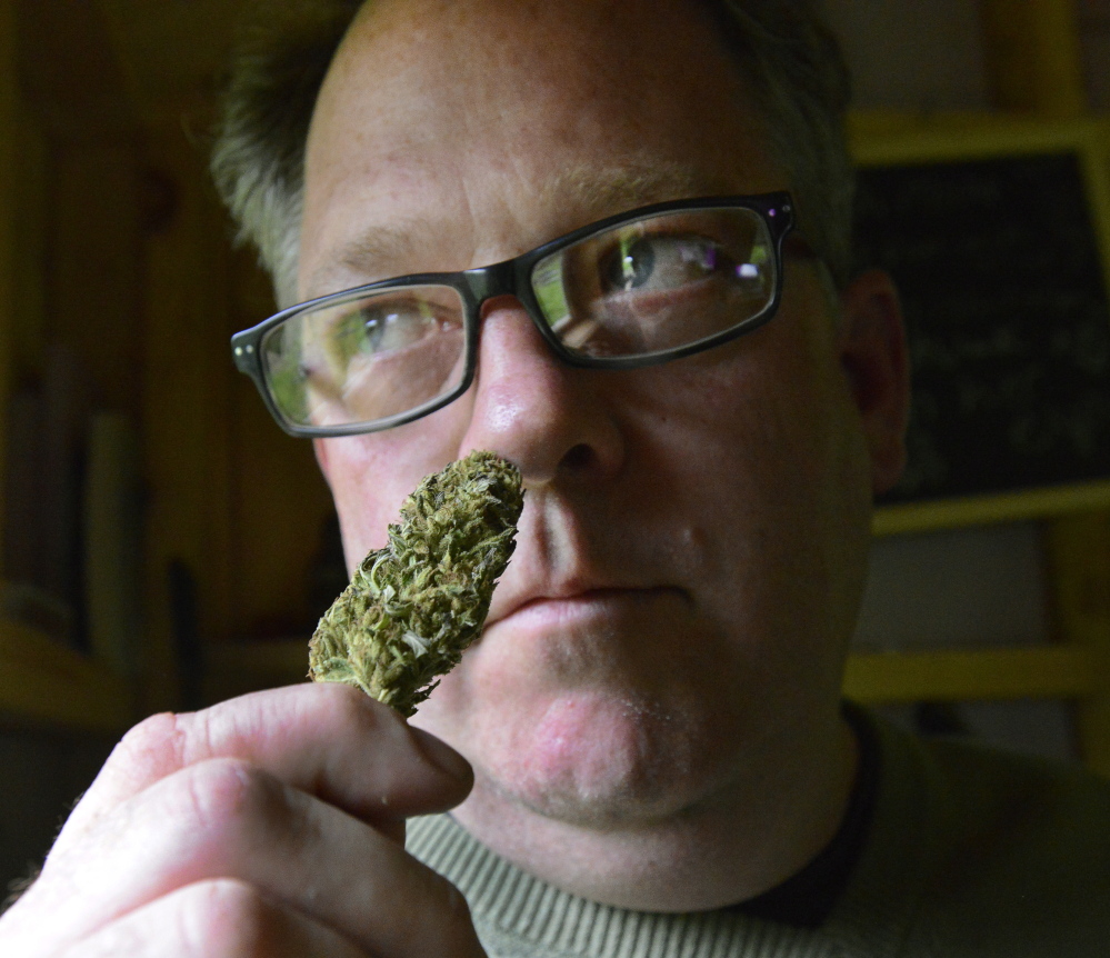 Crash Barry with a marijuana bud at his home in Oxford County. Barry is doing speaking engagements and signings around the state – and occasionally lighting up – to support his book, “Marijuana Valley.”  John Patriquin/Staff Photographer 