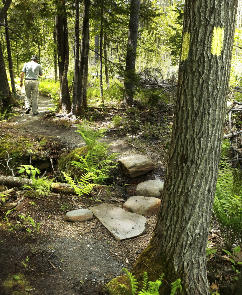 Don Miskill, a volunteer trail builder and a member of the Harpswell Recreation Committee, walks on Widgeon Cove Trail in Harpswell, which opened to the public this weekend. Photos by Gregory Rec/Staff Photographer