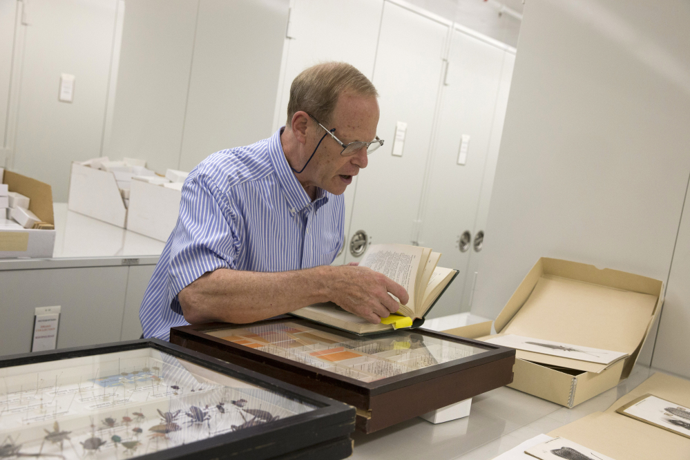 Dr. David Furth examines the Smithsonian Natural History museum’s Drake insect collection in Washington.