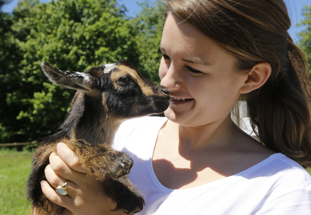 Lila Hall holds Radish, one of her family’s goat kids. Derek Davis/Staff Photographer