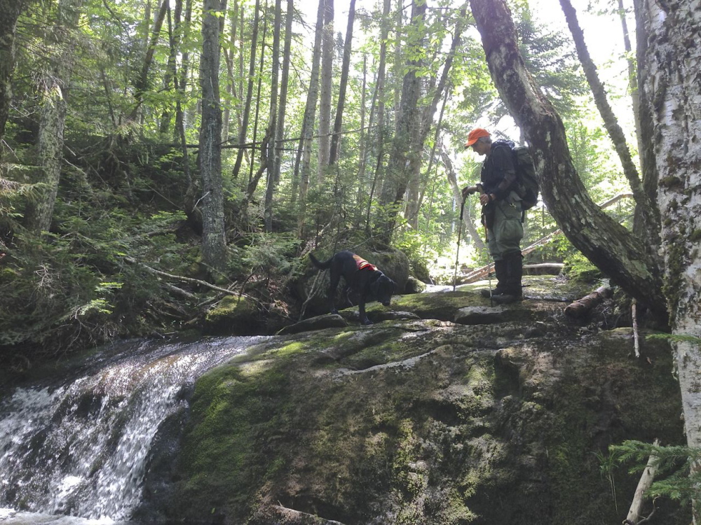 Deborah Palman, president of the Maine Association for Search and Rescue and formerly with the Maine Warden Service, searches with her dog Raven for missing hiker Geraldine Largay on Tuesday in Redington Township.