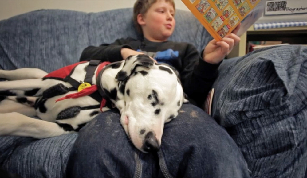 Even if Ghost isn’t really listening, the champion Dalmatian’s presence helps 9-year-old Joshua Stultz focus on his reading, as the relaxed dog has a way of chasing away all the boy’s distractions during a session at Harrison Elementary School. Amelia Kunhardt/Staff Photographer