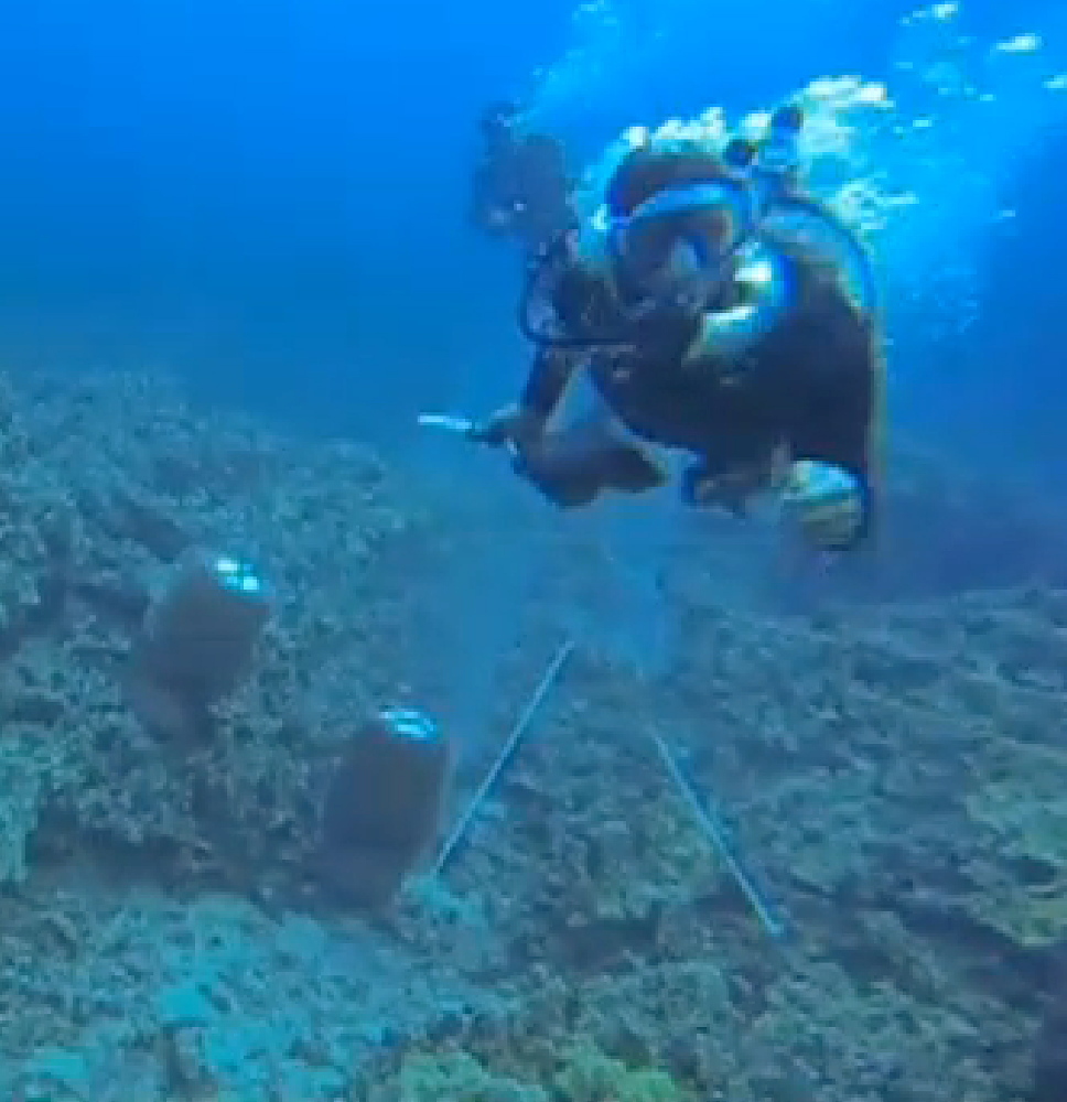 A scuba diver swims toward activist Rene Umberger moments before ripping her air supply regulator out of her mouth near Kona, Hawaii, from a video released by Umberger.  The underwater scuffle is highlighting a long-running dispute pitting environmentalists who want to shut down the industry in Hawaii and collectors who gather aquarium fish and sell them for a living.