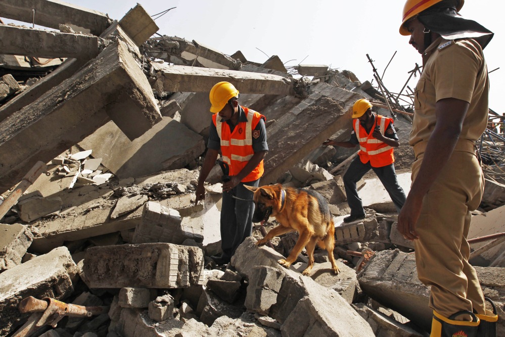 Rescuers use a sniffer dog on Sunday to search for workers believed to be still buried in the rubble of a building that collapsed late Saturday during monsoon rains in the outskirts of Chennai, India. Officials said dozens of workers have been pulled out so far and the search is continuing.