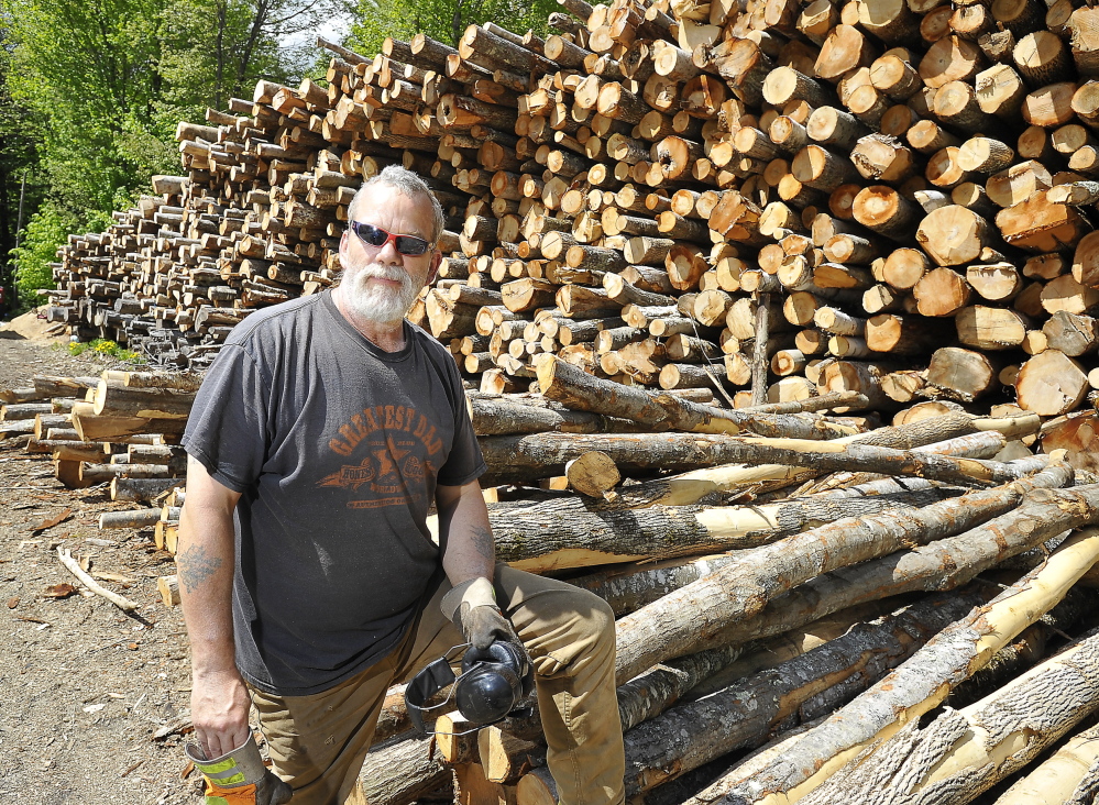 WINDHAM, ME - MAY 21: Mark Killinger, owner of Atlantic Firewood stands by 300-350 cords of hardwood his son, Mike Killinger, owner of Maine Logging, cut for processing this past winter. (Photo by Gordon Chibroski/Staff Photographer)