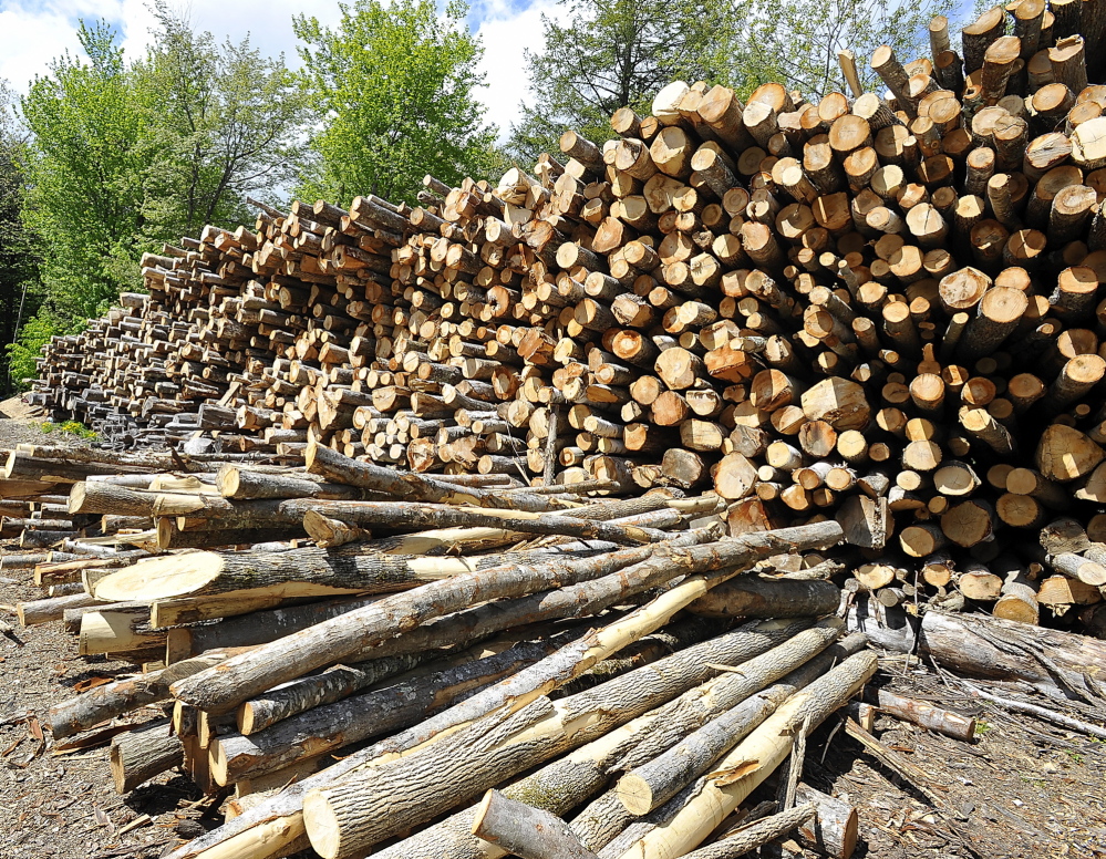 WINDHAM, ME - MAY 21: Mark Killinger, owner of Atlantic Firewood and his son, Mike Killinger, owner of Maine Logging work together to cut and process firewood for sale. This is about 300-350 cords of hardwood logs cut by Mike last winter. (Gordon Chibroski/Staff Photographer)