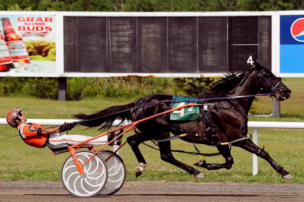 Drew Campbell, driving It Hurts Me, secures win #3,500 on Sunday at Scarborough Downs. Photo by Michael Newman.