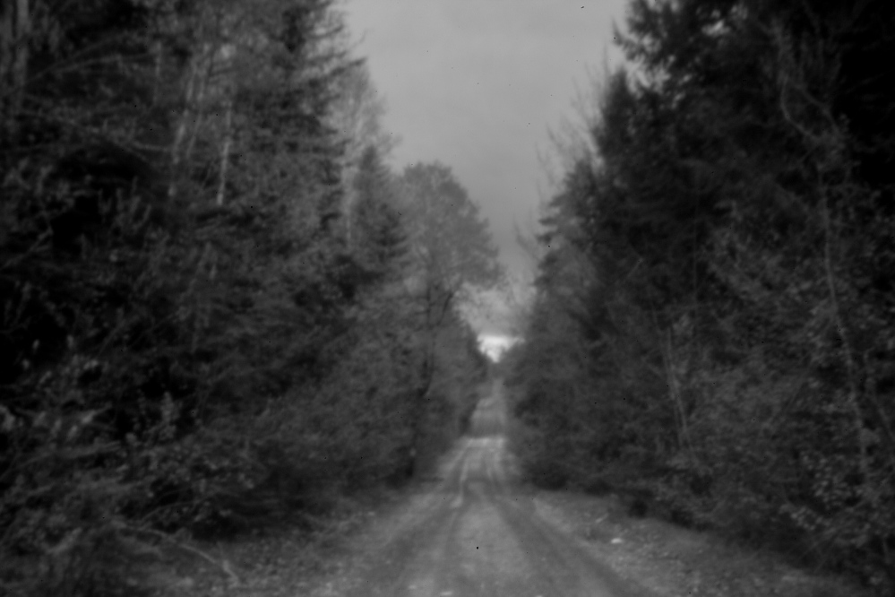 A dirt road leads into the woods in Indian Township, one of two Passamaquoddy reservations in Washington County. After years of research, an attorney representing the tribe in the mid-1960s believed he had found the way forward in a potentially historic land claims case against the state.