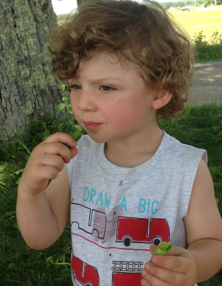 The author’s son, Theo, snacks on shelling peas at a farmers market in Brunswick.