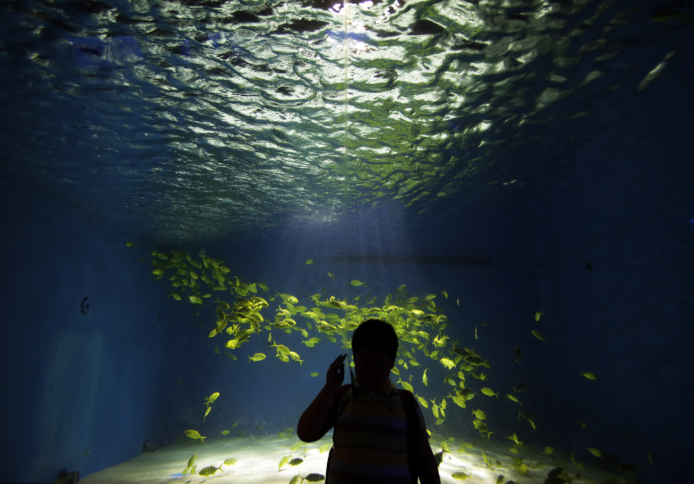 A visitor talks on a cellphone at an aquarium in Shanghai, China. A study released Thursday entailed leaving college students alone without cellphones and other distractions for six to 15 minutes. Results showed that many could not entertain themselves with their own thoughts.