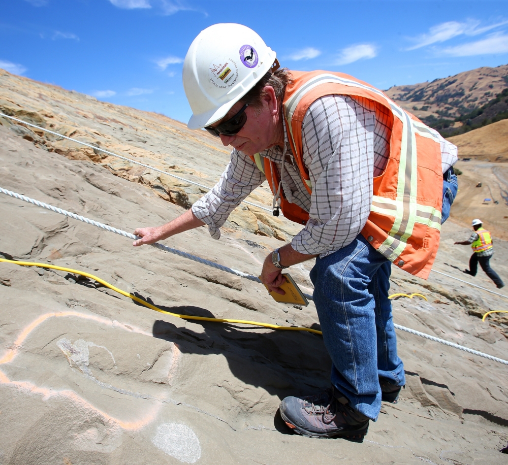 Paleontologist Bruce Hanson looks at a Desmostylus tooth on a hillside at the Calaveras Dam replacement project in Fremont, Calif.