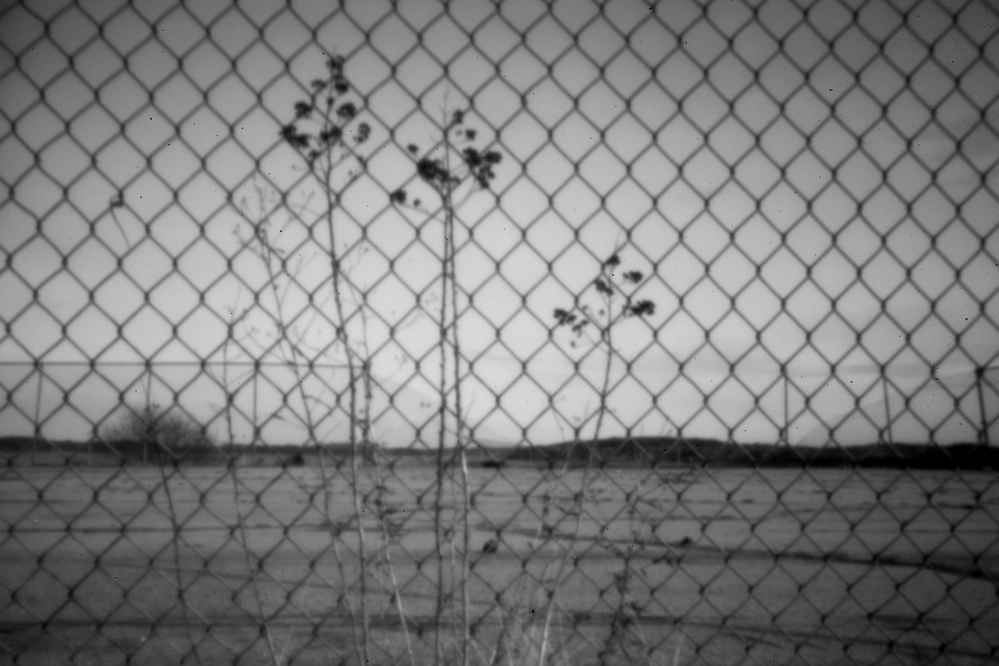 A pinhole camera captures vegetation growing from a basketball court at the Passamaquoddy’s Pleasant Point reservation in Washington County. Forty years ago, the tribe’s attorney, Don Gellers, faced an uphill fight as he tried to appeal his drug conviction.