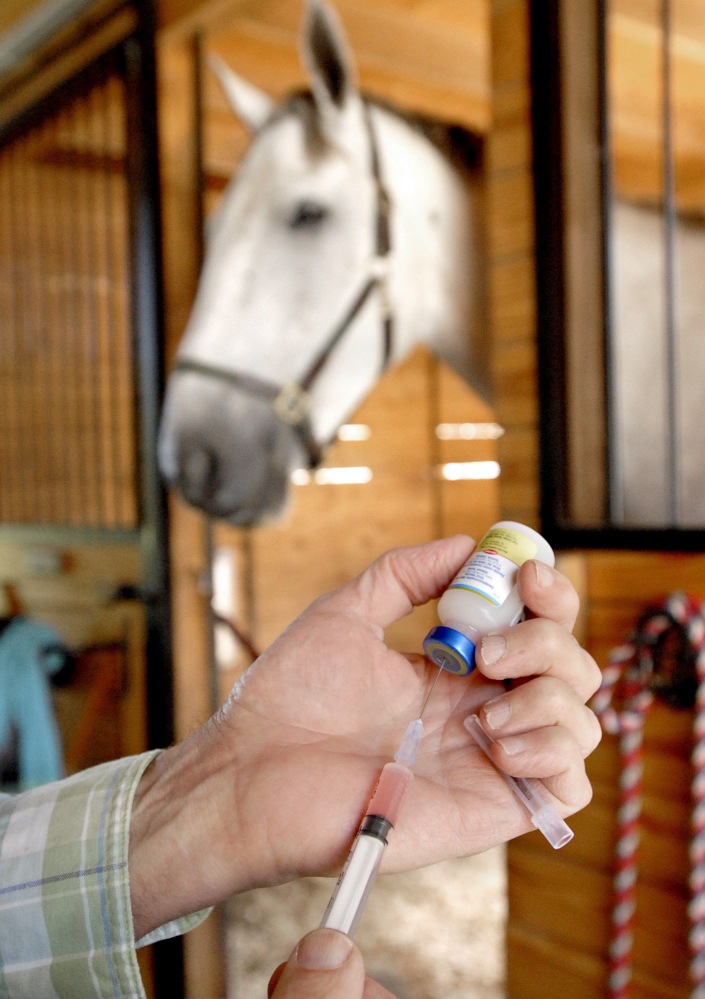 A doctor prepares an Eastern Equine Encephalitis vaccine for horses at a farm in Gray in 2009, a year when Maine experienced an unprecedented rate of EEE, which infected 19 animals.