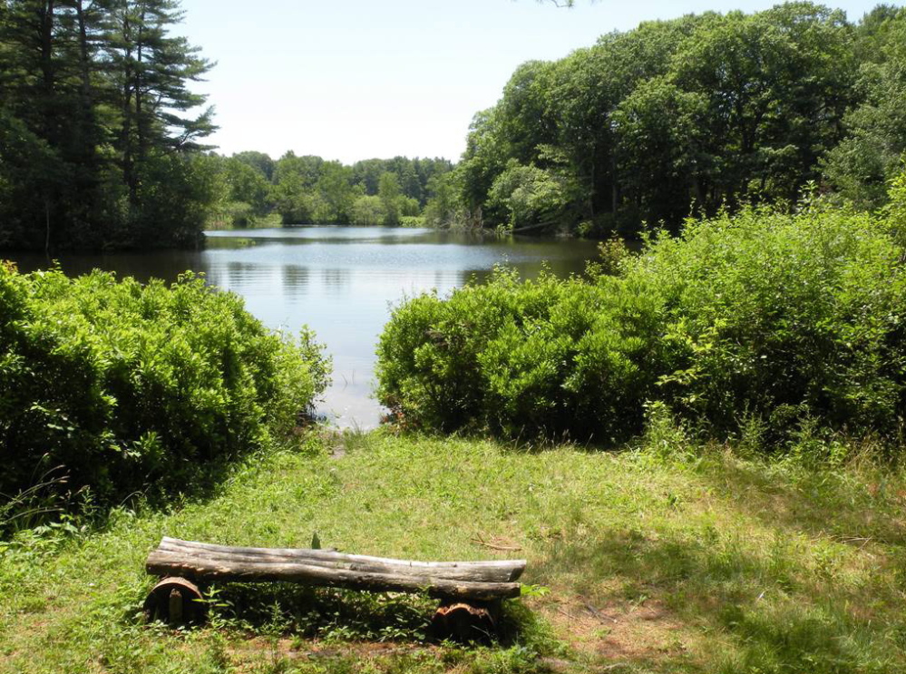 Salt marshes, forests and more make a hike at Spear Farm Estuary Preserve both enjoyable and a way  to burn off the calories consumed at next weekend’s Yarmouth Clam Festival.