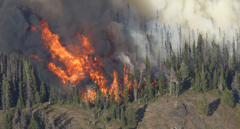 Massive flames burn trees in the Chiwaukum Creek Fire as seen from the air near Leavenworth, Wash., Thursday. The blaze closed a section of U.S. Highway 2, and resulted in the evacuation of nearly 900 homes.