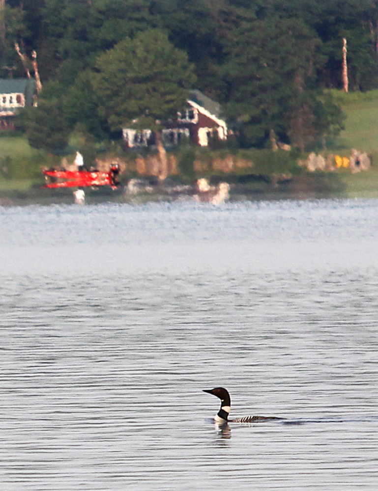 A loon makes its way across Great Pond in Belgrade on Saturday morning.
