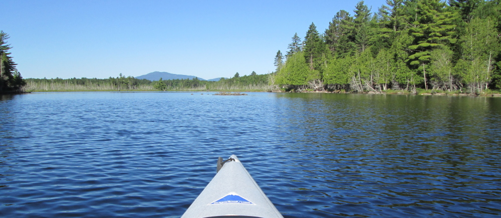 Big Moose Mountain is one of the many sites that can be viewed during a trip to Prong Pond in Greenville, just south of Moosehead Lake.