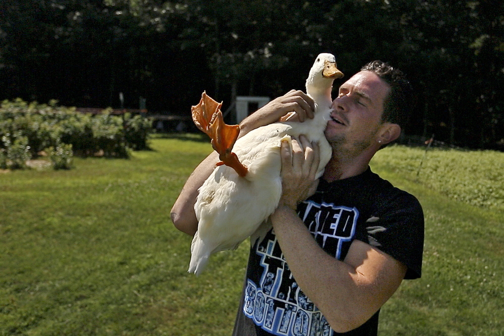 Carl Littlefield holds a duck that his daughter nicknamed Mr. Quackypants at Angers Farm in West Newfield. Littlefield says he is ready to move on from the farm, which is part of the York County Shelter Program and serves as a place for people in recovery from substance abuse to rebuild their lives.