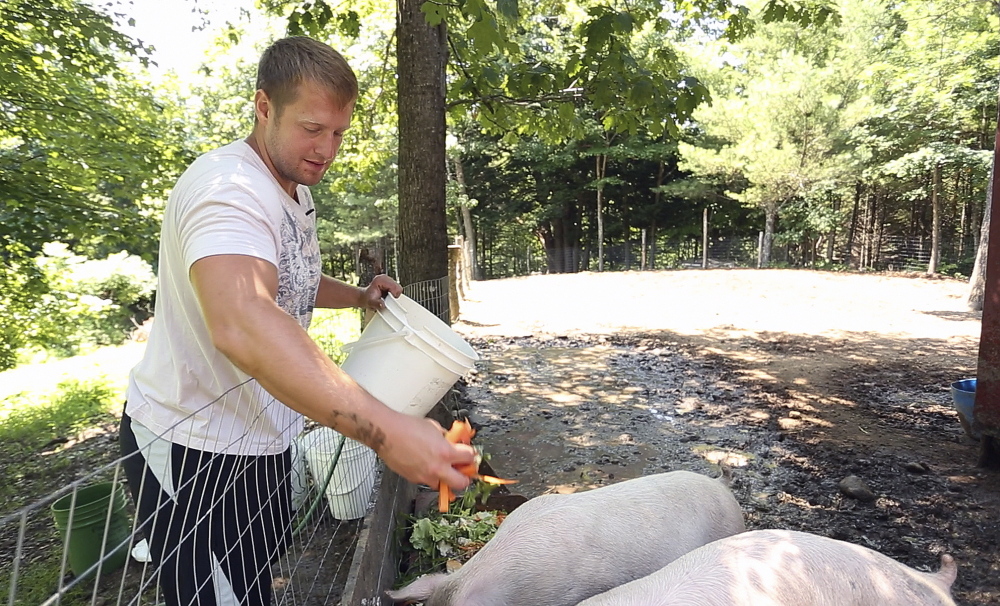 Shane Scott feeds pigs at Angers Farm in West Newfield. He calls the therapeutic farm “the most safest place I’ve been for a long, long time.”