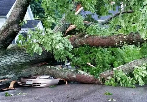 Tuesday's violent storm toppled trees in York that crushed cars and caused a widespread power outage. Rob Wright photo