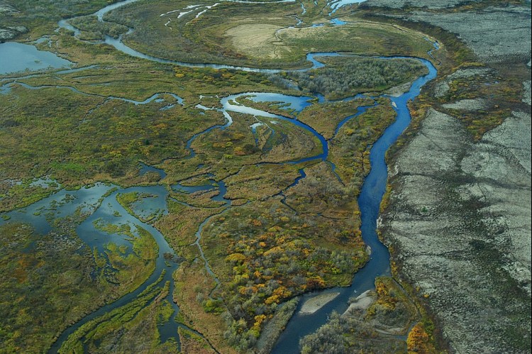 This aerial photo shows some of the wetlands downstream from the proposed Pebble mine in the Bristol Bay region of Alaska. EPA photo.
