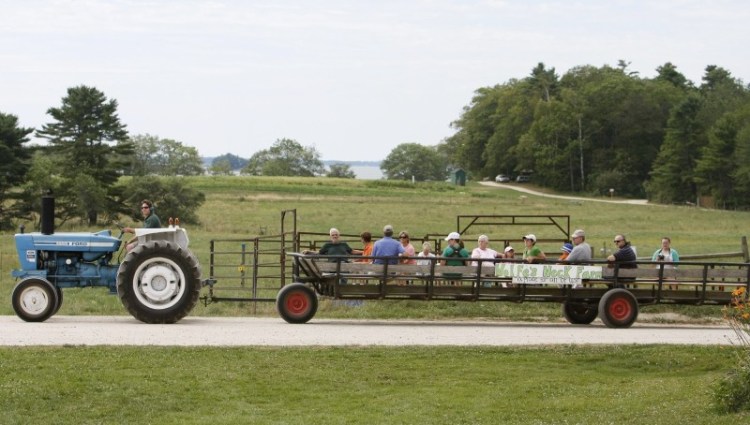A wagon ride for visitors on Open Farm Day at Wolfe's Neck Farm, a working saltwater farm open to the public in Freeport. The water beyond the field is Casco Bay.