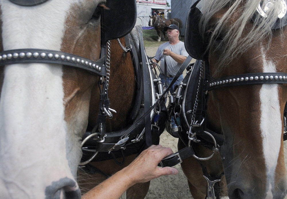Gordon Grover of Otisfield emerges from the pulling ring Sunday with his team of Belgians during the farmer’s pull at the Monmouth Fair. Teams of horses and mules from across Maine competed in the event. Staff photo by Andy Molloy